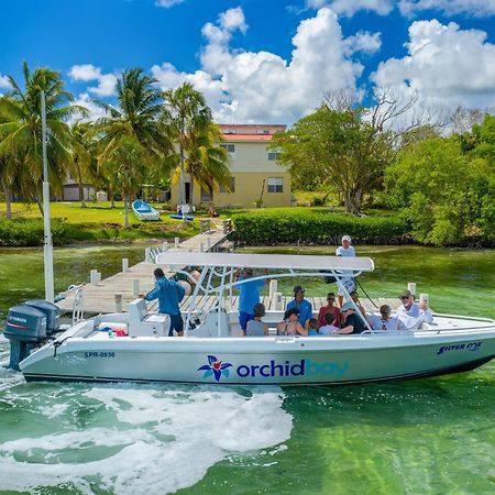 Orchid Bay Resort Corozal Town Extérieur photo