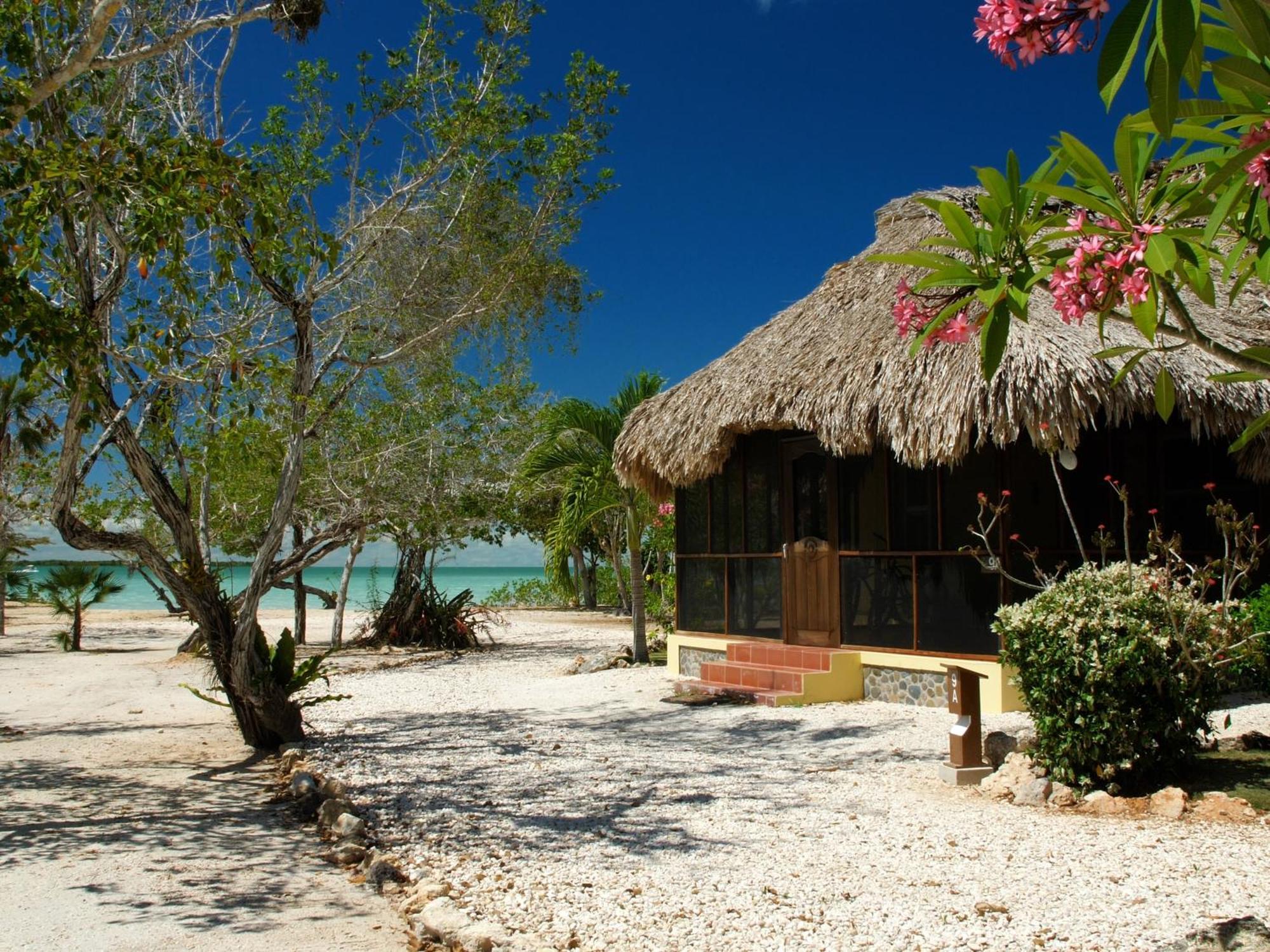 Orchid Bay Resort Corozal Town Chambre photo